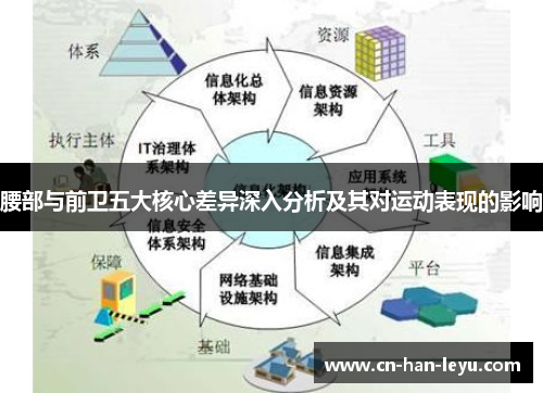 腰部与前卫五大核心差异深入分析及其对运动表现的影响 腰部与前卫五大核心差异深入分析及其对运动表现的影响