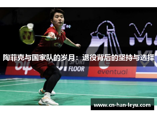 陶菲克与国家队的岁月：退役背后的坚持与选择