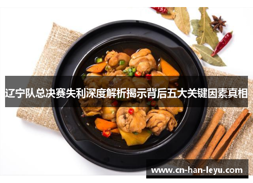 辽宁队总决赛失利深度解析揭示背后五大关键因素真相