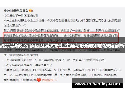 魏震禁赛处罚原因及其对职业生涯与联赛影响的深度剖析